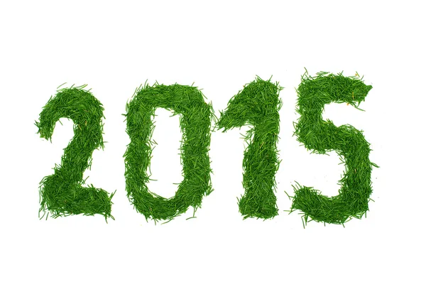 2015 год в еловых иглах — стоковое фото