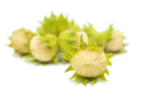 Green hazelnuts — Stock Photo, Image