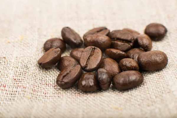 Coffee beans — Stock Photo, Image