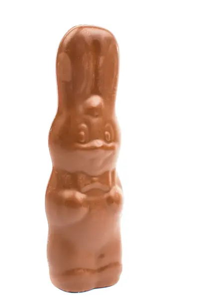 Шоколадный кролик — стоковое фото