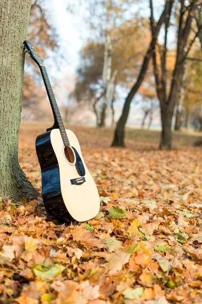 Guitar on autumn leaves — Stock Photo, Image