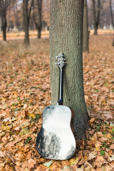 Guitare sur feuilles d'automne — Photo