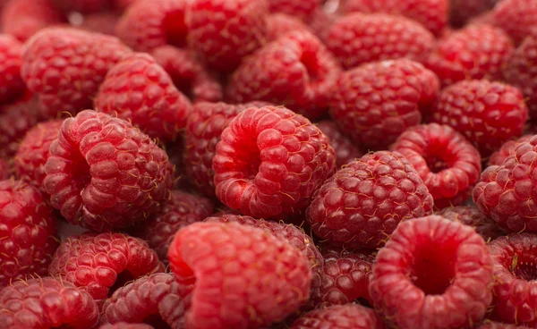 Ripe raspberries — Stock Photo, Image