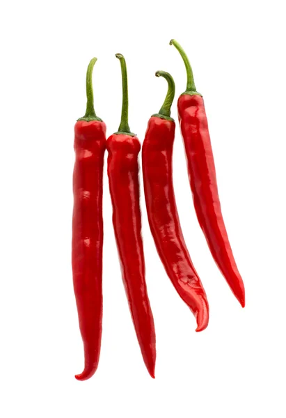 Red hot chili pepper — Stock Photo, Image