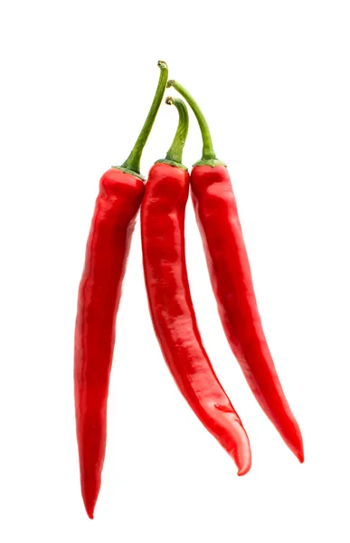 Pimiento rojo picante — Foto de Stock