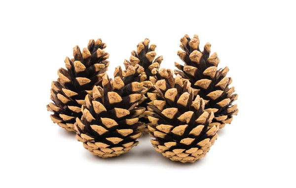 Cones Stock Photo