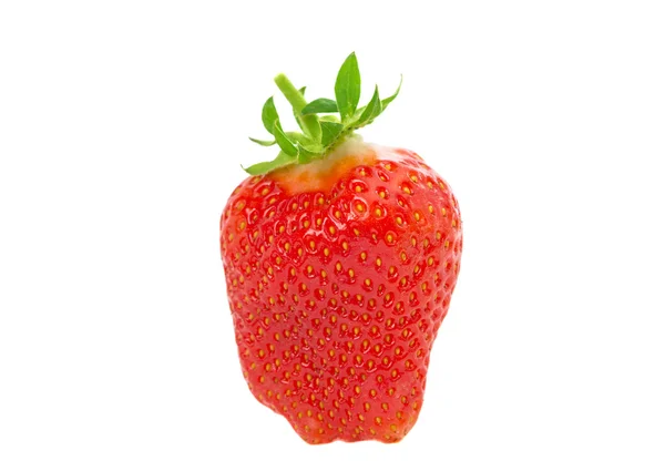 Fresh ripe strawberry — Stock Photo, Image