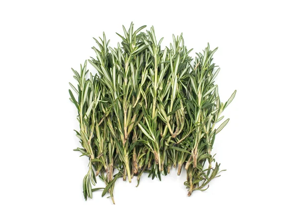 Fresh green rosemary — Stock Photo, Image