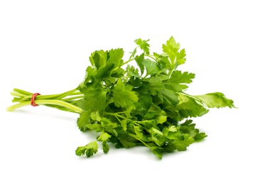 taze yeşil maydanoz