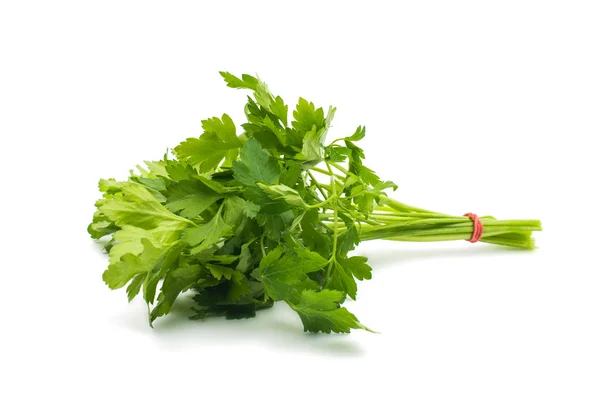 Fresh green parsley — Stock Photo, Image