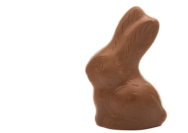 Gustoso coniglietto al cioccolato — Foto Stock