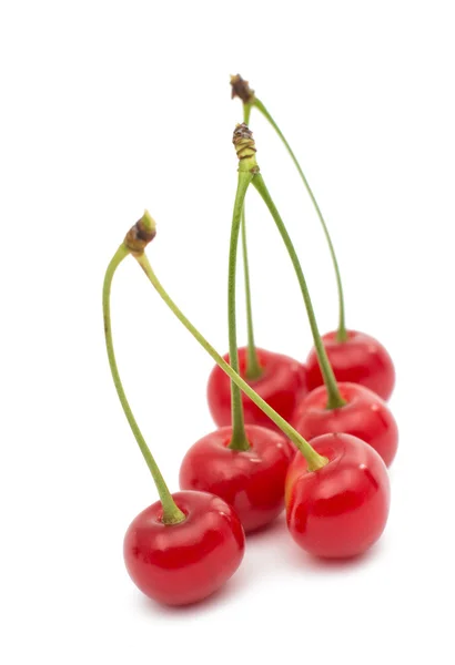 Ripe raw cherry — Stock Photo, Image