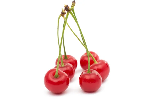 Ripe raw cherry — Stock Photo, Image