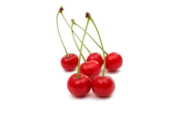 Rijp ruwe cherry — Stockfoto