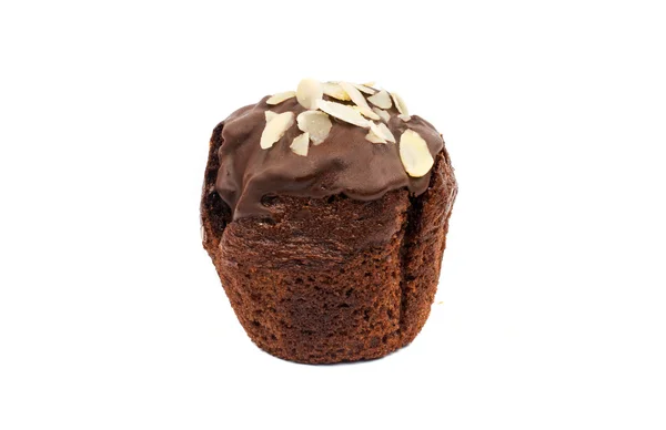 Lekkere chocolade muffin — Stockfoto