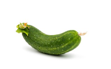 taze yeşil salatalık