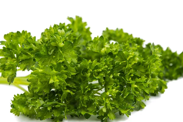 Green leaves of parsley — Stock Photo, Image