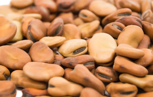 Broad beans — Stock Photo, Image