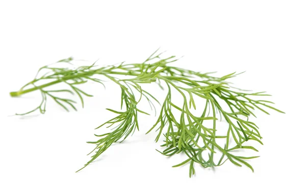 Dill — Stock Photo, Image