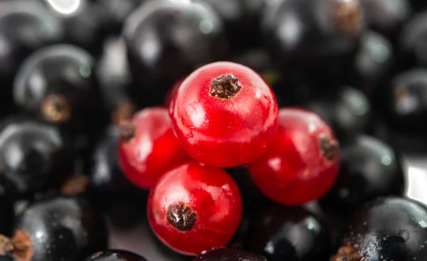 Currants — Stock Photo, Image