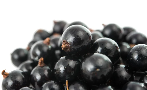 Currants — Stock Photo, Image