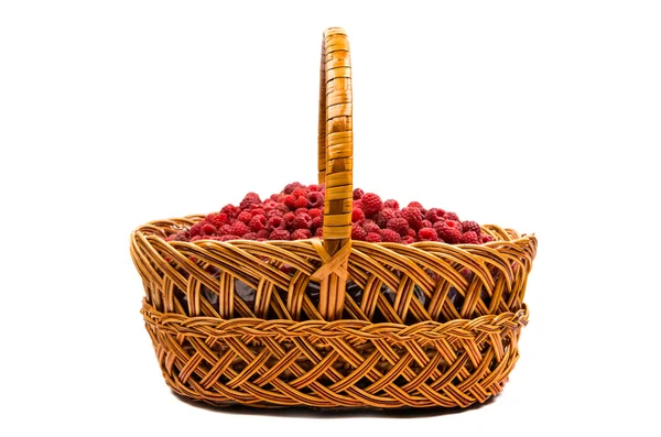 Basket of raspberries — Stock Photo, Image