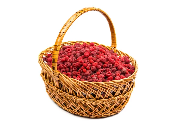 Basket of raspberries — Stock Photo, Image