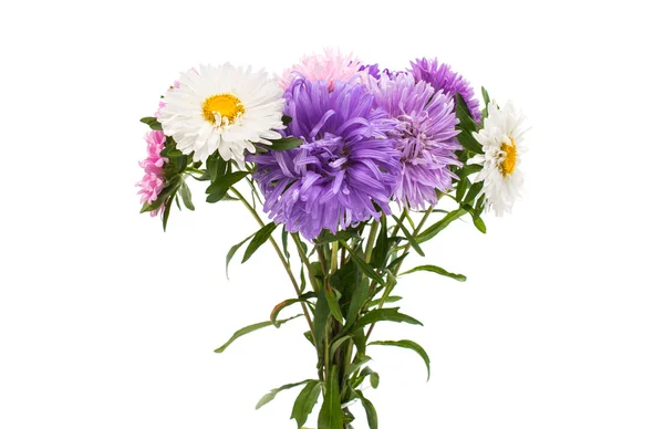 Bright bouquet of asters — 图库照片