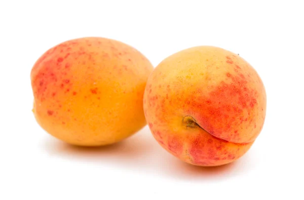 Apricot — Stock Photo, Image