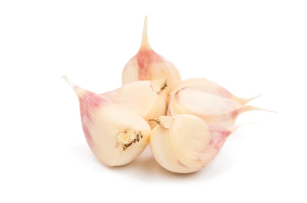 Garlic — Stock Photo, Image