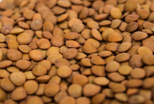 Food - Detail of Lentil pulse nut (Lens culinaris) — Stock Photo, Image