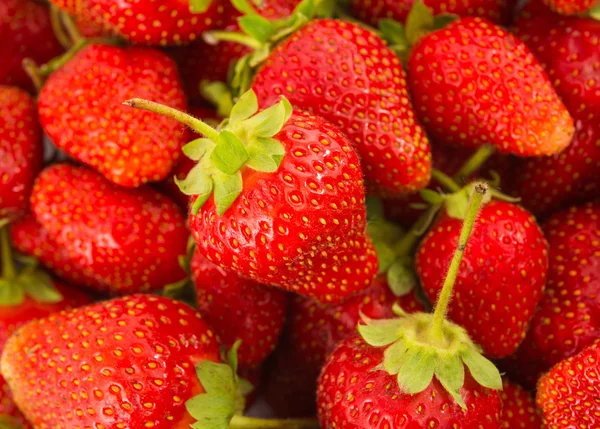 Fresh Strawberry Background — Stock Photo, Image