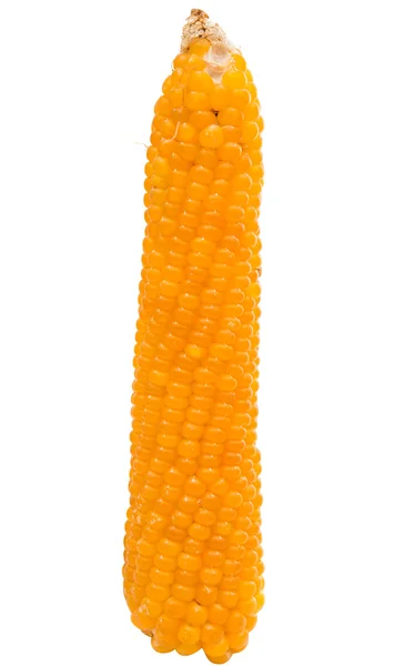 Kukorica a pattogatott kukorica — Stock Fotó
