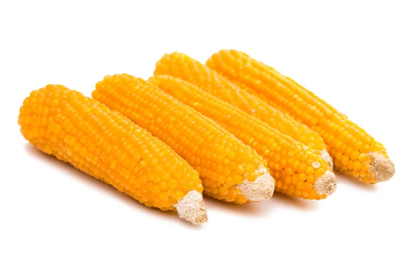 Corn for popcorn — Stock Photo, Image