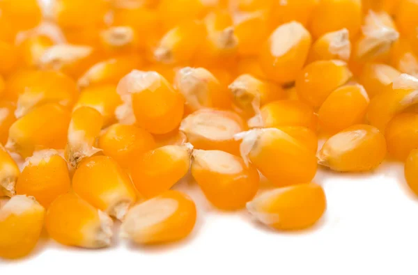 Corn for popcorn — Stock Photo, Image