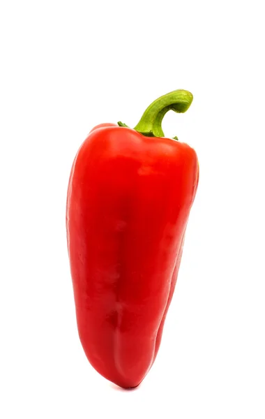 Paprika isoliert — Stockfoto