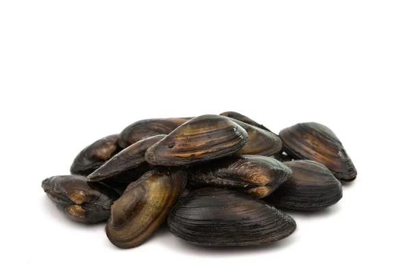 Cozze — Foto Stock