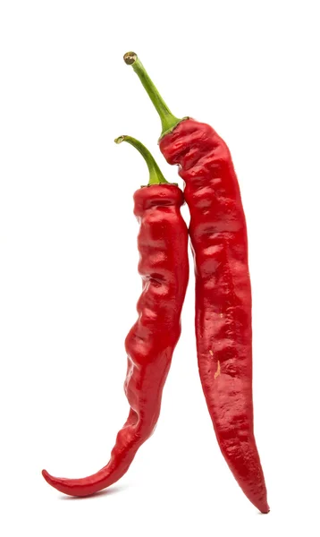 Red chili peppers — Stock Photo, Image