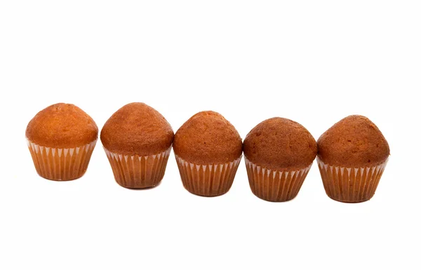 Malé muffiny — Stock fotografie