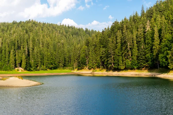 Synevir lake landscape in the Carpathian Mountains — Stock Photo, Image