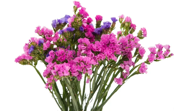 güzel bir sonbahar çiçek