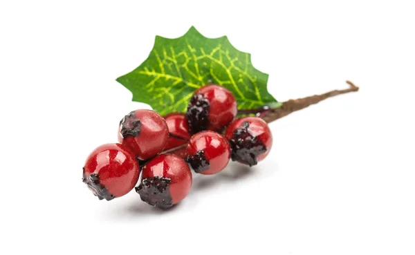 Winterberry Rama de Navidad con bayas de acebo rojo — Foto de Stock