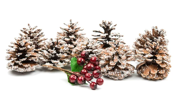 Christmas cones — Stock Photo, Image