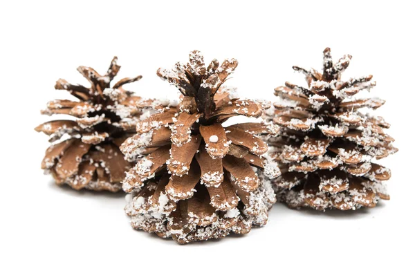 Christmas cones — Stock Photo, Image