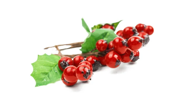 Winterberry Christmas branch with red holly berries — Stock Photo, Image