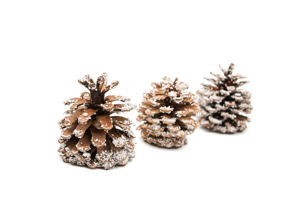 Christmas cones — Stock Photo, Image