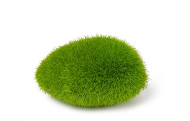 Green stones with moss isolated on white background
