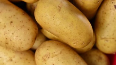 Çiğ sarı patateslerin yakın çekim videosu.