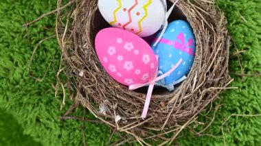 Yeşil arka planda bir Paskalya yumurtası ve kuş yuvası videosu.