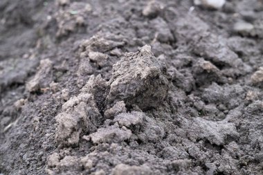 Çernozem sürülmüş toprağın arkaplanı